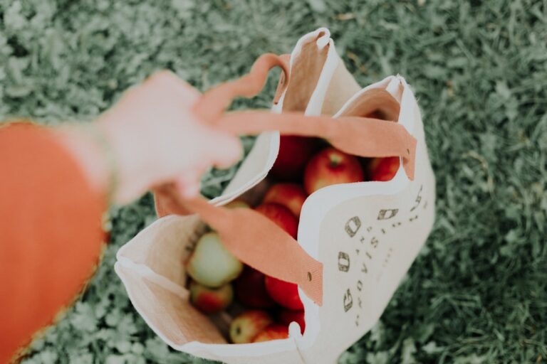 Navigating Dietary Restrictions with BountysBasket’s Grocery Options